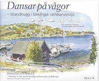 bokomslag Dansar på vågor : strandhugg i blekingsk världsarvsmiljö = Dancing on waves