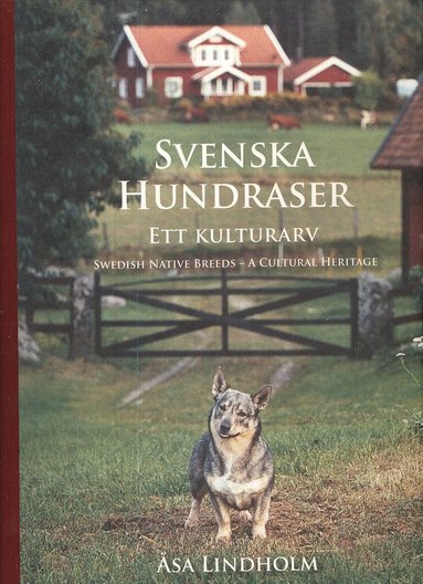 bokomslag Svenska hundraser : ett kulturarv = Swedish native breeds : a cultural heritage