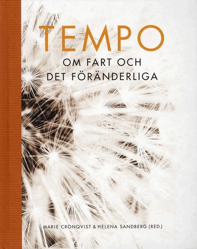 Aylin Ahadi, Maria Björklund, Marie Cronqvist, Anna Ekwall, Lotta Gustafsson, Anneli Löfgren, Annika Olsson, Mia Rönnmar, Helena Sandberg, Blazenka Scheuer, Emma Sparr, Eva Sather, Lena Uller - Tempo : om fart och det föränderliga, Inbunden