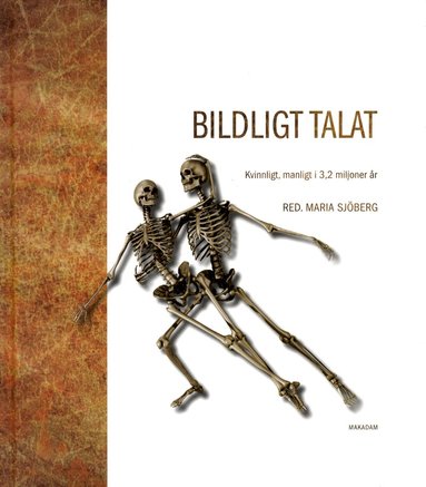 Maria Sjöberg, Henrik Alexandersson, Eva I Andersson, Elisabeth Arwill-Nordbladh, Maria Bruun-Lundgren, Annika Bünz, Martin Dackling, Lena Larsson Lovén, Audur Magnúsdóttir, Hanna Markusson Winkvist, Sari Nauman, Agneta Strömberg, Anita Synnestvedt - Bildligt talat : kvinnligt, manligt i 3,2 miljoner år, Inbunden