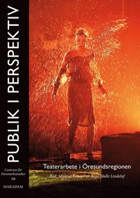 bokomslag Publik i perspektiv : teaterarbete i Öresundsregionen
