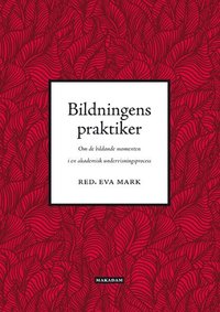 bokomslag Bildningens praktiker : om de bildande momenten i en akademisk undervisningsprocess