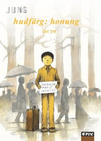 bokomslag Hudfärg : honung. Del 3