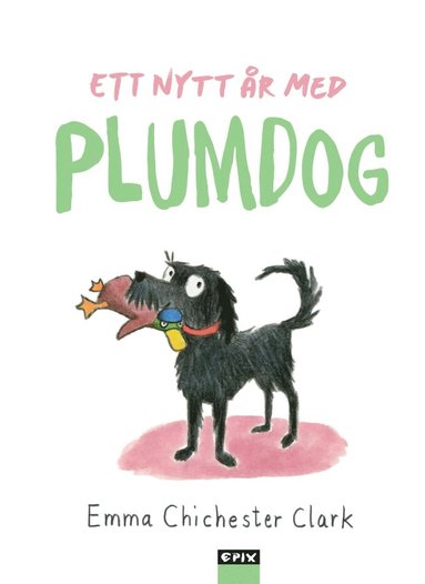 bokomslag Ett nytt år med Plumdog