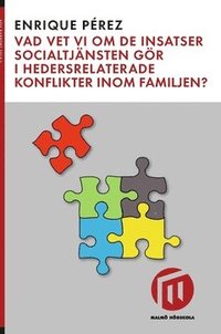 bokomslag Vad vet vi om de insatser socialtjänsten gör i hedersrelaterade konflikter inom familjen?