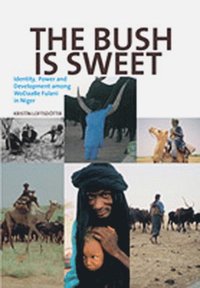 bokomslag The Bush Is Sweet: Identity, Power and Development Among WoDaaBe Fulani in Niger