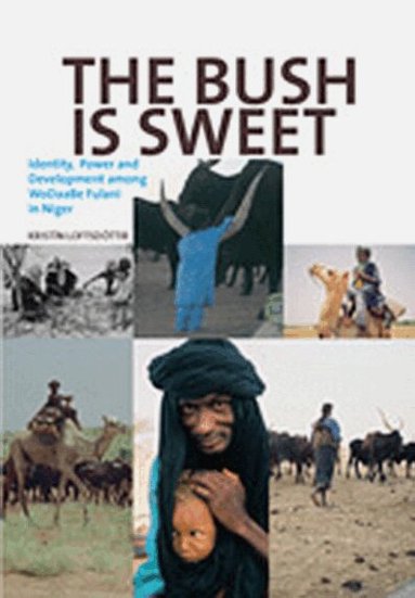 Kristín Loftsdottír - The Bush Is Sweet: Globalization, Identity and Power Among Wodaabe Fulani in Niger, Häftad