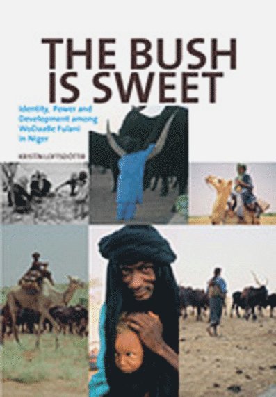 The Bush Is Sweet: Globalization, Identity and Power Among Wodaabe Fulani in Niger 1