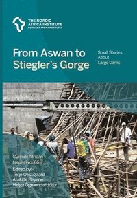 bokomslag From Aswan to Stiegler's Gorge