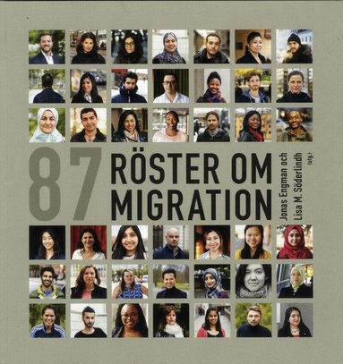 87 röster om migration, Häftad