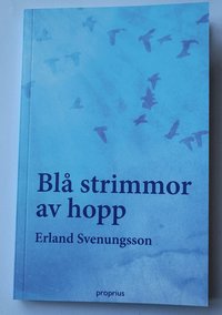 bokomslag Blå strimmor av hopp