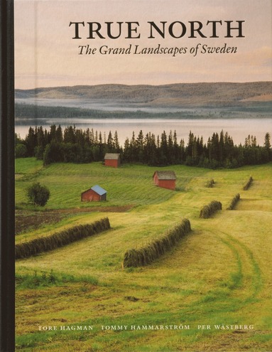 bokomslag True north : the grand landscapes of Sweden (kompakt)