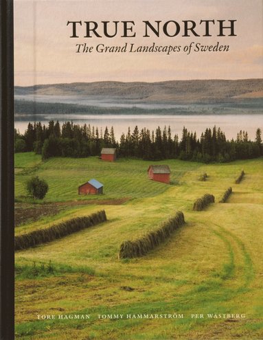 bokomslag True north : the grand landscapes of Sweden (kompakt)