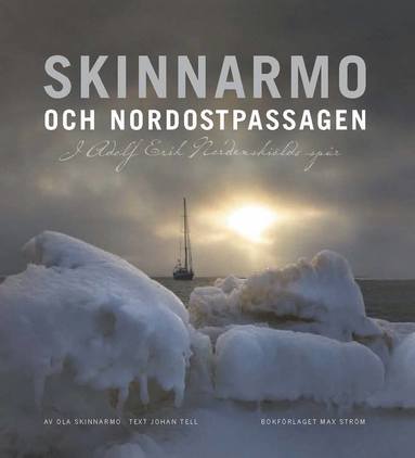 bokomslag Skinnarmo och Nordostpassagen : i Adolf Erik Nordenskiölds spår