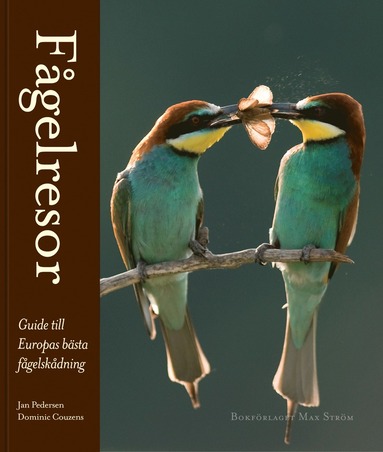 bokomslag Fågelresor : guide till Europas bästa fågelskådning