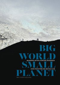 bokomslag Big world, small planet : abundance within planetary boundaries