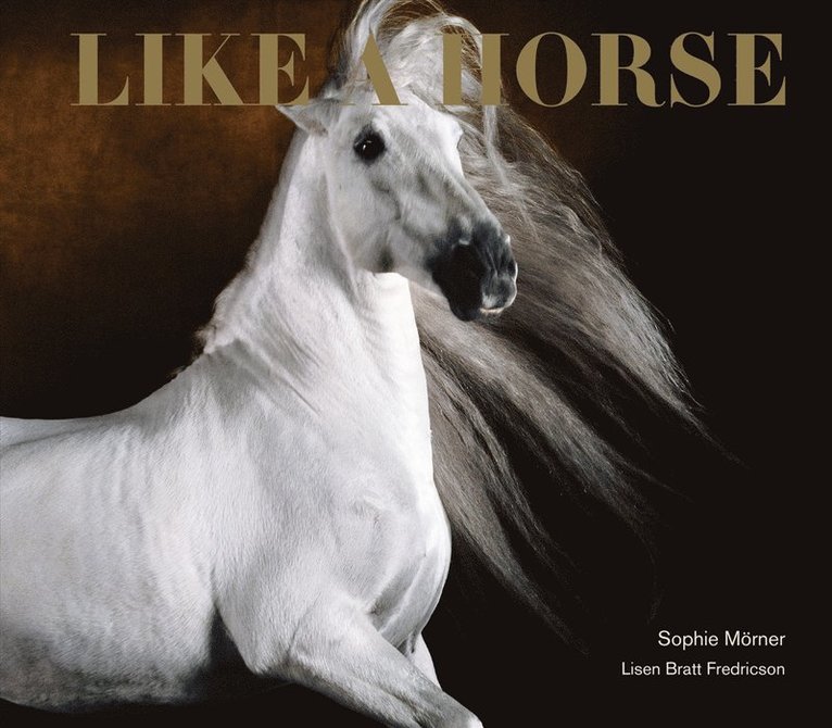 Like a horse 1