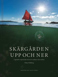 bokomslag Skärgården upp och ner (Stiftelsen)