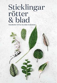 bokomslag Sticklingar, rötter & blad : handbok för att dela krukväxter