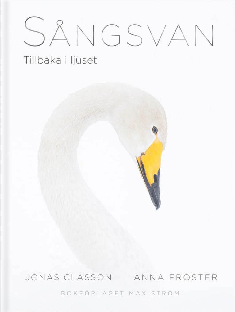 Sångsvan : Tillbaka i ljuset 1