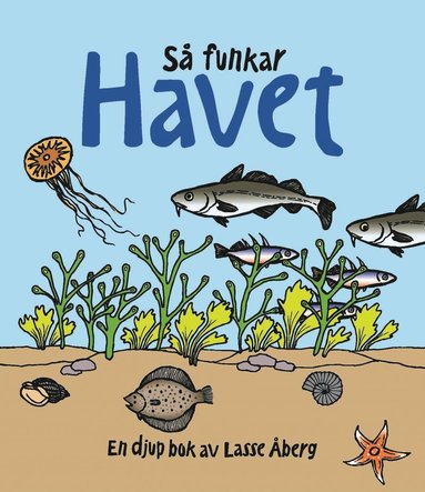 bokomslag Så funkar havet