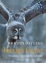 bokomslag Kaxiga fåglar : personligheter och relationer i fågelvärlden