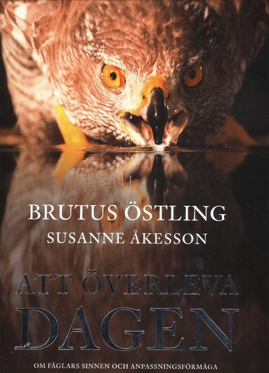 Brutus Östling, Susanne Åkesson - Att överleva dagen, Kartonnage