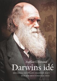 bokomslag Darwins idé : den bästa idé någon någonsin haft och hur den fungerar idag