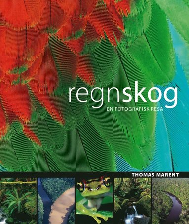 bokomslag Regnskog : [en fotografisk resa]