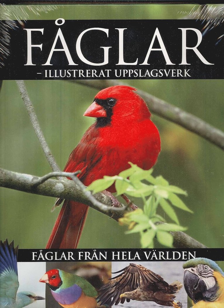 Fåglar - illustrerat uppslagsverk 1