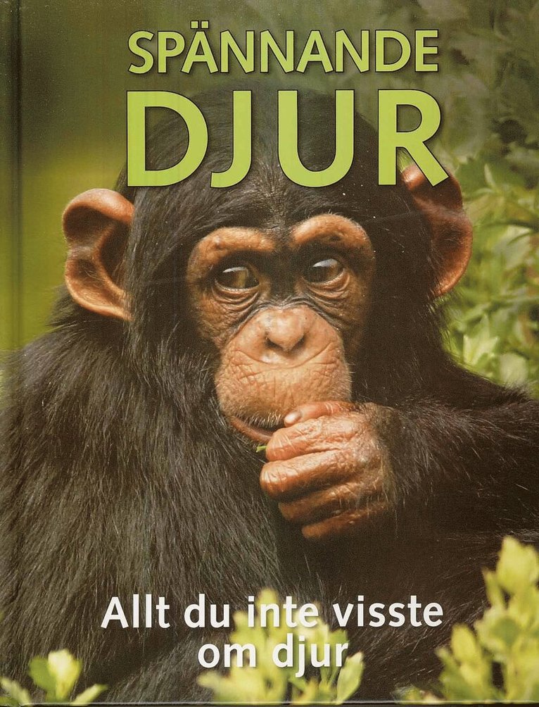 Spännande djur 1