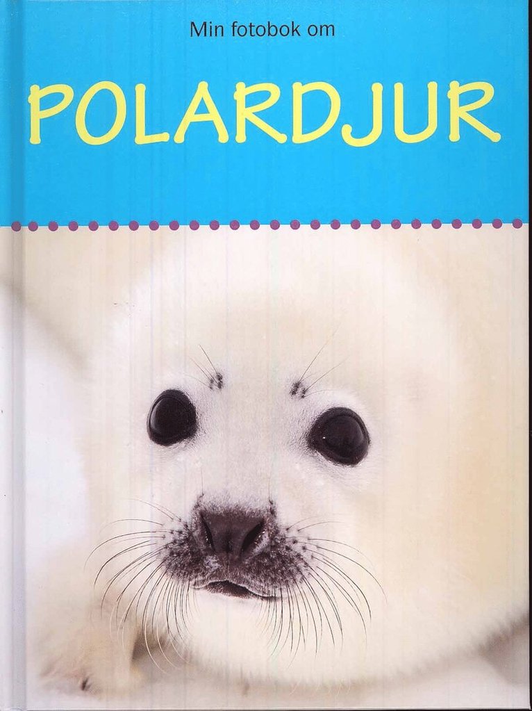 Polardjur 1