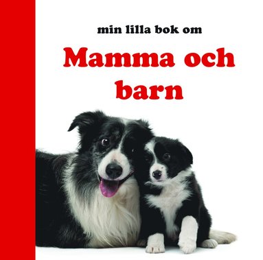 bokomslag Min lilla bok om Mamma och barn