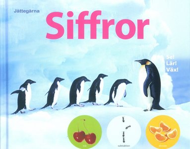 bokomslag Jättegärna : Siffror