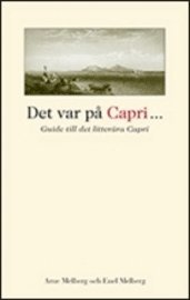 bokomslag Det var på Capri... : guide till det litterära Capri