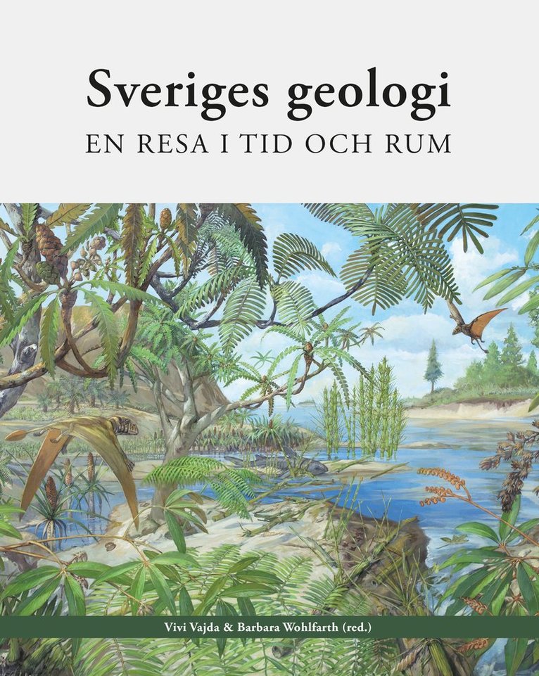 Vivi Vajda, Barbara Wohlfarth - Sveriges geologi : en resa i tid och rum, Kartonnage