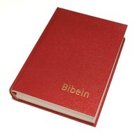 bokomslag Bibeln konstskinn normal