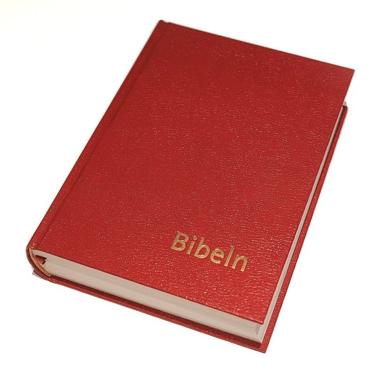 nya inlagan Bibel 2000 - Bibeln konstskinn normal, Inbunden