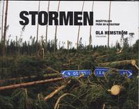 bokomslag Stormen : berättelser från en katastrof