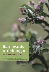 bokomslag Barnavårdsutredningar : en kunskapsöversikt