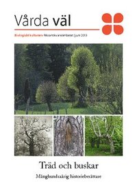 bokomslag Träd och buskar : månghundraårig historieberättare