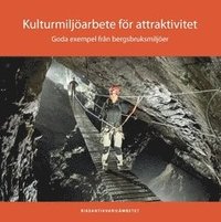 bokomslag Kulturmiljöarbete för attraktivitet : goda exempel från bergsbruksmiljöer