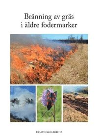 bokomslag Bränning av gräs i äldre fodermarker