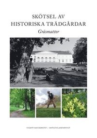 bokomslag Skötsel av historiska trädgårdar : gräsmattor
