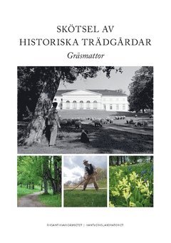 Klara Holmqvist - Skötsel av historiska trädgårdar : gräsmattor, Häftad