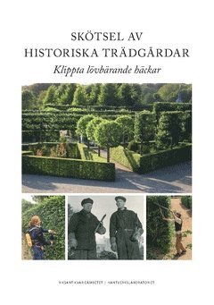 bokomslag Skötsel av historiska trädgårdar : klippta lövbärande häckar