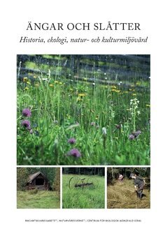 Anna Westin, Tommy Lennartsson - Ängar och slåtter : historia, ekologi, natur- och kulturmiljövård, Häftad