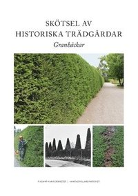 bokomslag Skötsel av historiska trädgårdar : granhäckar