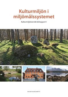 Kulturmiljön i miljömålssystemet : kulturmiljööversikt. Delrapport 1 1