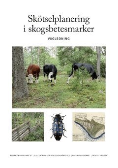 Anna Westin, Tommy Lennartsson - Skötselplanering i skogsbetesmarker : vägledning, Häftad